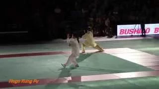 Festival des Arts Martiaux Nord Europe 2015 Equipe de France Wushu (Hugo Kung Fu)