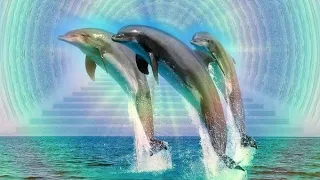 Dolphin Light Language Soul Healing