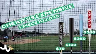 Cheap vs Expensive Alloy Bats