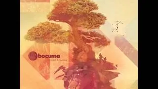 Bocuma | 18 Clear Head