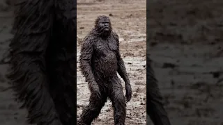 Weirdest Bigfoot Sighting? Strange Sasquatch Encounter Mexico, Missouri (1883) #paranormal #mystery