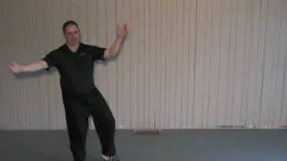 24 Form Tai Chi  - Lesson 6 - Brush Knee Push