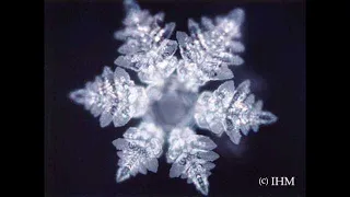 WATER CRYSTALS AND MUSIC - DR. EMOTO - RELAXATION HEALING - HEALTH MEDITATION MUSIC