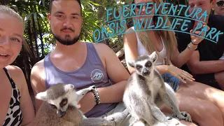 Fuerteventura 2023 4K VLOG - Oasis Wildlife, Playa de Sotavento, Ostrov Lobos , Riu Oliva 3.část