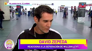 David Zepeda REACCIONA a la SEPARACIÓN de sus amigos William Levy y Elizabeth Gutiérrez |Sale el Sol