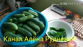 Закатка огурцов на зиму в пластиковой бутылке.