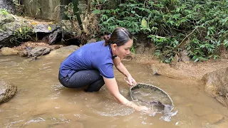 Harvesting Forest Stream Fish Goes to the market to sell - Bad Guys Break in Steal - Nguyễn Thị Diễm