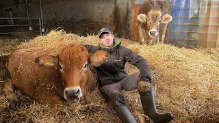 I became a FARM BOSS for 5 days. My MEAL on a Farm in Switzerland