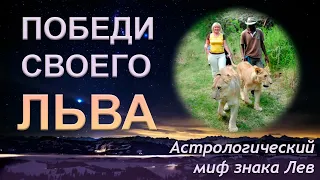 ♌ Победи в себе льва. Астрологический миф и характеристика знака зодиака лев.