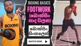 බොක්සිං සරලව | Boxing footwork - බොක්සිං පාද චලන | Coach Jamitha Bandara #KOsandSubmissions