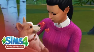 The Sims 4: Кошки и собаки #4 | ДРЕССИРОВКА