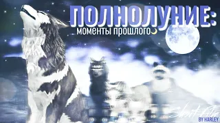 WildCraft: «Полнолуние — Моменты прошлого» 🌙🌕 Предыстория сериала „Последний Удар“