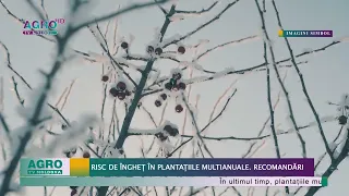 Risc de îngheț în plantațiile multianuale. Recomandări – AGRO TV – News