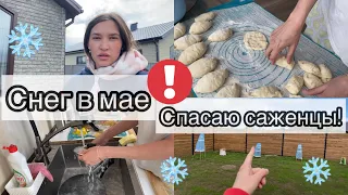 СНЕГ В МАЕ! СПАСАЮ САЖЕНЦЫ// ЖАРИМ ОБАЛДЕННЫЕ ПИРОЖКИ// БУДНИ МАМЫ