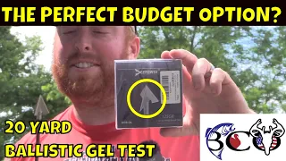 deepower 125 grain solid fixed broadhead ballistic gel test | bco review |