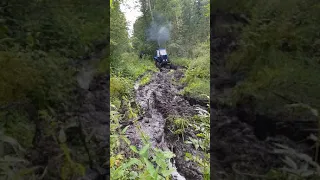 Трактор мтз82 застрял в болоте