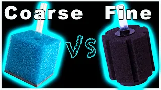 Fine Sponge Filter vs Coarse Sponge Filter: Which One is Better?