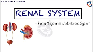 Renin Angiotensin Aldosterone System (RAAS) and Juxtaglomerular Apparatus | Renal System Physiology
