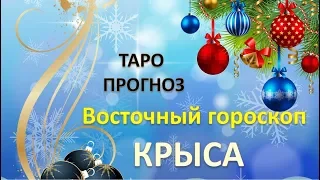 Таро Прогноз на 2019 г. ПО ВОСТОЧНОМУ ГОРОСКОПУ. КРЫСА.