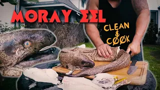 MASSIVE MORAY EEL! - How to Clean and Cook - Spearfishing Hawaii