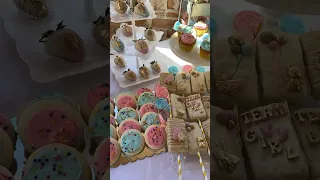 Gender reveal dessert table set up!💙💕