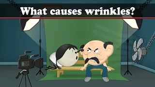 What causes wrinkles? | #aumsum #kids #science #education #children