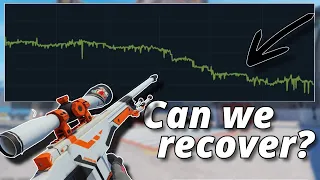 MARKET OVERVIEW & WHY WE WILL RECOVER | CS2 Investing