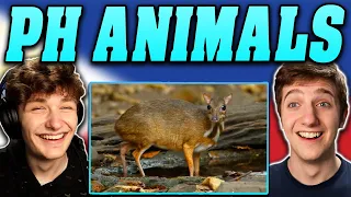 American Guys React to 10 RARE Animals Only Found in the Philippines 🇵🇭