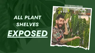 🍃 My HUGE Plant Room Tour 2023: Over 600 Houseplants! 🌱 | Requested by YOU: My Epic 1hr+ tour! 🎬