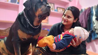 cute baby playing with dog | Rottweiler dog | funny dogs|  #dog #funnyvideo