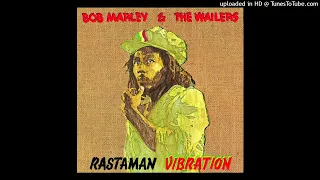 Bob Marley & The Wailers - Roots, Rock, Reggae (Instrumental)