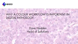 Why a colour workflow is important within digital pathology