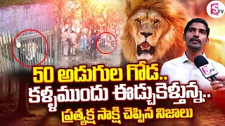 ప్రత్యక్ష సాక్షి చెప్పిన నిజాలు..| Lion in Tirupati Zoo Park | Lion Shocking Fact | SumanTV