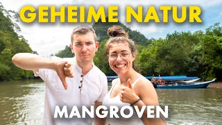 LANGKAWI Mangroven Tour - Dinge, die dir NIEMAND sagt! – Lohnt es sich?