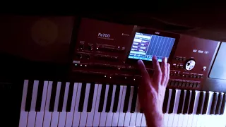 SILENT CIRCLE - TOUCH IN THE NIGHT / KORG PA700 STYLE