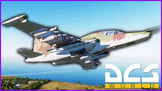 I Failed Flight School And They Gave Me A Plane Anyways | Digital Combat Simulator