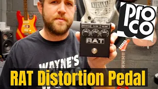 ProCo RAT 2 Distortion Pedal | Pedalboard Essentials