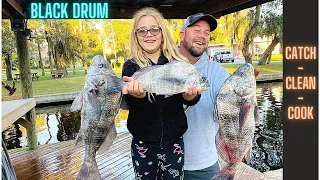 CATCHING Black Drum From Land {CATCH CLEAN COOK}