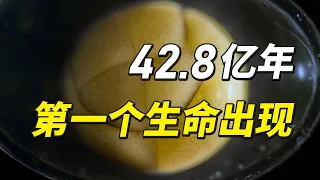 42.8亿年！第一个生命出现，统治地球长达30亿年！