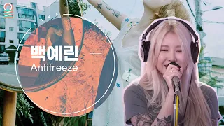 [ALLIVE] 백예린(Baek Yerin) - Antifreeze / 올라이브 / 푸른밤 옥상달빛입니다 / MBC 210929