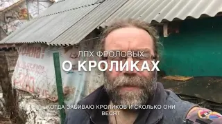 Кролики в ЛПХ Фроловых - до какого возраста я держу кроликов