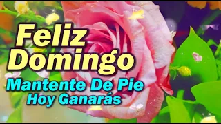 Buenos días Feliz Domingo Abre este mensaje Te deseo un feliz y bendecido día