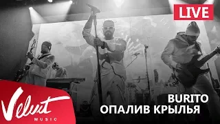 Live: Burito - Опалив крылья (Сольный концерт в RED, 2017г.)