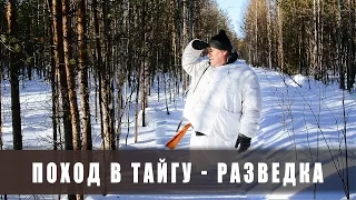 Поход в лес. Две ночи в тайге. Разведка. (тайга, болото, лыжи, снег)