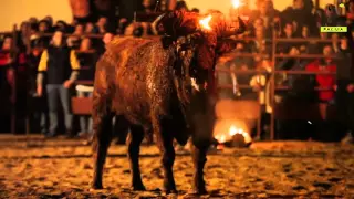 Toro de Fuego - "Fire Bull" festival, Spain