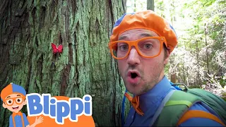 Learning About Nature On A Hike With Blippi | Educational Videos For Kids