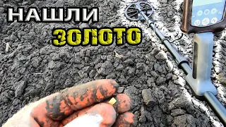 Нашли древнее золото на поле а селение было в лесу! Коп с MINELAB EQUINOX 800