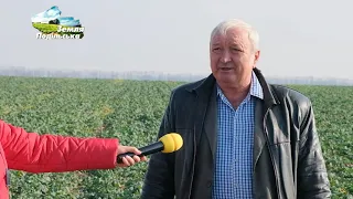 СТОВ "Злагода": аграрне виробництво і підтримка села