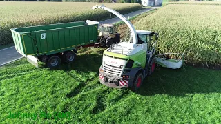 Maishäckseln 2022 mit LU Krumm mit Claas Jaguar 970 10 Reihen, Fendt, JCB, Deutz Teil 4 [4K]