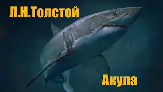 Л.Н.Толстой "Акула"